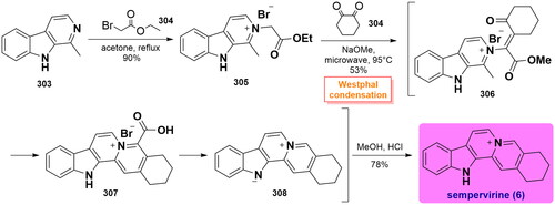 Scheme 15 Malhotra’s total synthesis of sempervirine.