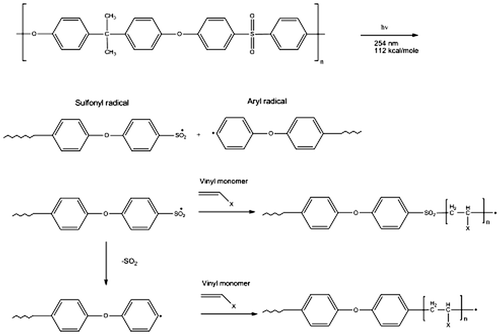 Figure 3. UV-induced grafting Mechanisms for PES membranes [Citation12].