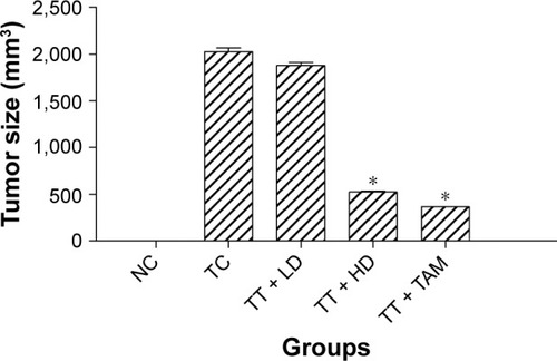 Figure 3 Breast cancer tumor volume in different groups.