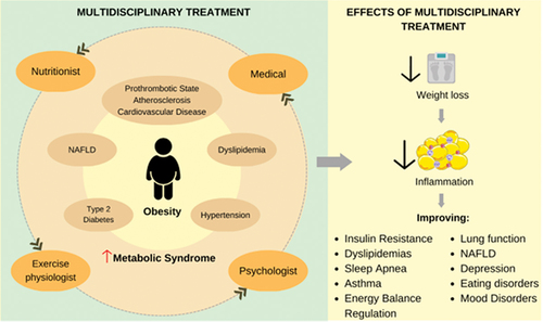 Figure 1. The inflammatory state resulting from the expansion of adipose tissue in obesity is the key factor for the development of metabolic complications such as type 2 diabetes (DM2), hypertension, dyslipidemia, nonalcoholic fatty liver steatosis (NAFLD), atherosclerosis, and consequently increases the risk of developing the Metabolic Syndrome. The multidisciplinary treatment in long term, including clinical, psychological, nutritionist and exercise physiologist can contribute to enhance the inflammatory state, control of energy balance, improving many comorbidities and consequently improving the quality of life.