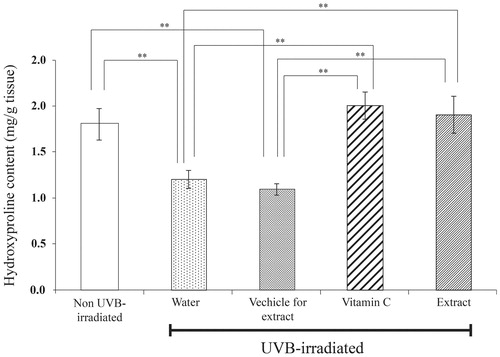 Figure 7. Hydroxyproline content in dermal skin tissues of mice after UVB irradiation for 12 weeks. Skin was daily applied deionized water, vehicle for extract solution, 3% w/v vitamin C solution or 5% w/v extract solution at 2 h after UVB irradiation for 12 weeks. Each bar represents mean ± SD of triplicate study. **p <0.01, when compared between two group (Student’s t-test).