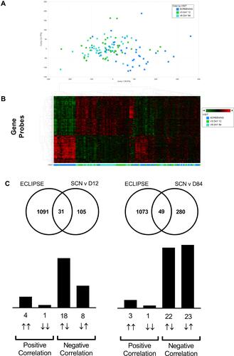 Figure 6 Blood transcriptomics during exacerbation recovery (Study B). Combined blood transcriptomic data shows partial clustering by time point (Panels A and B). Unbiased overlay analysis showed a highly significant overlap with data from ECLIPSE.27,30 The degree of overlap and gene directionality for the matching genes are displayed in (Panel C).