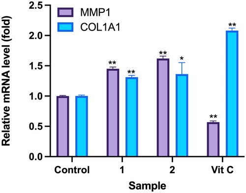 Figure 8. Effects of compounds 3′-hydroxylbenzyl-4-hydroxybenzoate-4′-O-droxylbenzyl-4-hy (1) and vanilloylcalleryanin (2) on gene expression by WS-1 cells. WS-1 cells were seeded in 6-cm dishes and treated with compounds (100 μM) isolated from Pyrus calleryana for 24 h. Vitamin C (ascorbic acid, 100 μM) was used as a positive control. RNA extraction, reverse transcription and a real-time PCR were performed. Each determination was performed in triplicate, and values are presented as the mean ± standard deviation. *p < .05 and **p < .01 vs. the control group.