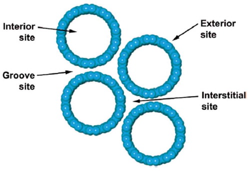 Figure 7. Schematic of hexagonally packed single-walled carbon nanotubes bundle showing the various adsorption sites (Adopted from reference (Kondratyuk & Yates, Citation2007 ))