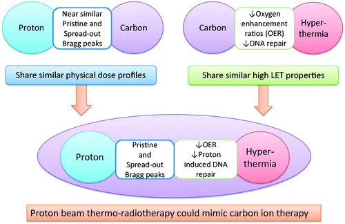 Figure 3. Proton beam thermo-radiotherapy could yield a summation of the physical dose profiles of protons and the high LET advantages of hyperthermia. Thus, proton beam thermo-radiotherapy could mimic 12C ion therapy.