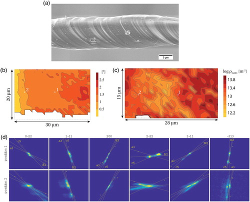 Figure 2. (a) SEM image and contour plots of (b) misorientation angle [∘] and (c) dislocation density log⁡ρGND[m−2] in single-slip oriented microwire SS1. (d) Intensity distribution of 6 diffraction peaks at two locations (indicated by labels 1 and 2 on the above maps) and theoretical streaking directions for the glide systems a3, c5 and b2 (Schmid factors before/after deformation of respectively ms= 0.46/0.41, 0.11/0.41 and 0.34/0); window size : 50×50 pixels.