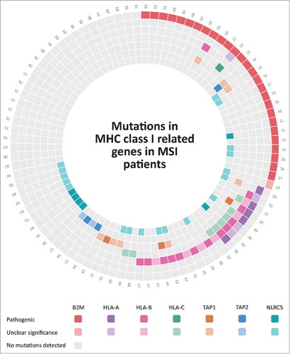 Figure 1. Mutations in HLA class I-related genes in MSI colorectal cancers from the DFCI cohort.Citation21 MSI colorectal cancers included in the DFCI cohort are numbered from 1 to 91, each mutation in the corresponding patient is shown by different colors that are indicated below the Fig.; darker colors display pathogenic mutations; whereas, lighter colors indicate mutations with unclear significance. Lack of mutations in the respective tumors and genes is displayed by gray color. Detailed information about the mutations can be found in Supplementary Table 1.