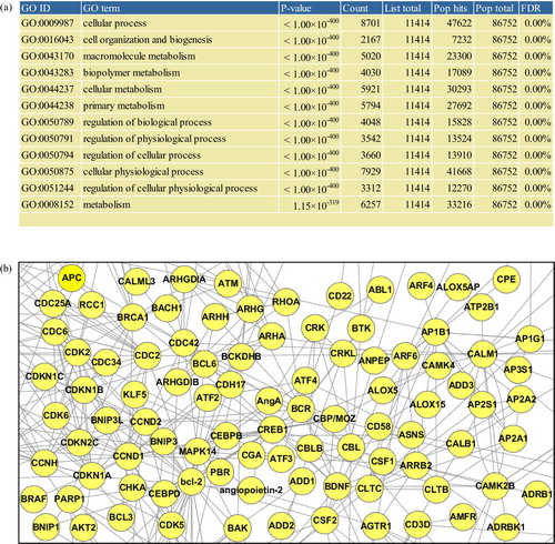Fig. 3 Gene Ontology enrichment and network analyses. All analyses in this figure involved mRNA transcriptome of EVs derived from Homo sapiens mast cell HMC-1 (Citation21). In the “Analysis – Gene Ontology enrichment analysis” menu (a), by defining the species from which the analyzed list of proteins originates, the type of Gene Ontology terms (i.e. biological process, molecular function, and cellular component), and the cut-off of the enrichment p-value, the Gene Ontology enrichment analysis can be performed. In “Analysis – Network analysis” menu (b), by defining the species to which the functional interactome data belong, the number of additional nodes, and confidence of the interactome data, one can perform the network analysis of a protein list in EVpedia.
