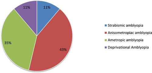 Figure 1 Types of amblyopia among study participants at Bahir Dar city, northwest Ethiopia, 2018 (n=39).