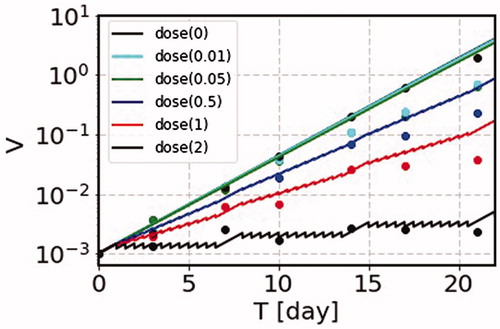 Figure 3. The SS model results on the numbers of cells in a WI-38 colony in arbitrary unit as a function of time in day. The irradiation is made twice a day for 6 days with one day break per week. We show the predicted curves with different irradiation time schedule, with irradiation with d = 0.01, 0.05, 0.5, 1 and 2 Gy/fraction (solid lines dose(0.01-2)), together with the corresponding data points (circle dots nearby each solid lines) up to 22 days, where our model is applicable to the experimental data. The parameters used for the calculation are λ = 0.38 day−1, Vm = 100, and b1 = 0.0855 Gy−1. This shows that our SS model nicely reproduces the experimental data.
