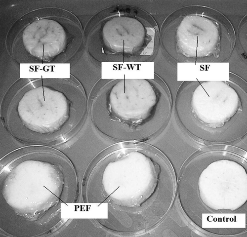 Picture 2. An example of apple slices coated in different types of films at day 6 of storage at 5ºC.*Control: apple slices without films. PEF: apple slices stored in polyethylene films. SF: apple slices stored in starch films. SF-GT: apple slices stored in starch films enriched in green tea extract. SF-WT: apple slices stored in starch films enriched in white tea extract.