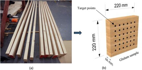 Figure 1. Materials used in the study. (a) Image of the glulam timber beams. (b) Schematic view of a compression test sample with its dimensions.