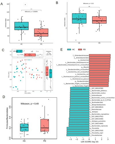 Figure 4. Gut dysbiosis developed in patients with peritoneal dialysis. (A) richness index of gut microbiota. (B) Shannon index of gut microbiota. (C) plots of unweighted unifac-based PCoA. (D) ratio of Firmicutes and Bacteroidetes. (E) LEfSe plot showing specific bacteria. HC: healthy group; PD: peritoneal dialysis patient group. *** p < 0.001; ns: non-significance.
