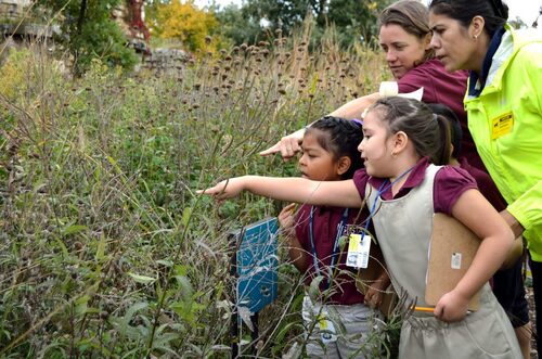 Learn about how a university-based teacher preparation program, public schools, and local science-focused museums implement an ecological approach to STEM learning in Chicago.