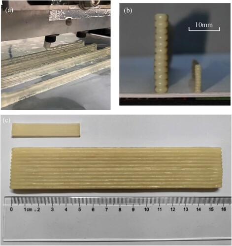 Figure 14. (a) Printing process of layer support and (b and c) large and small thin-walled samples printed by 4 mm and 1.5 mm nozzle, respectively.