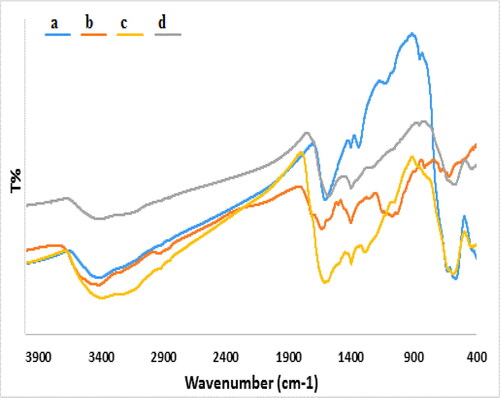 Figure 1. FT-IR spectra of a) Fe3O4, b) Starch, c) Fe3O4/Starch and d) Fe3O4/Starch-Au.