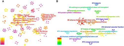 Figure 4 Visualization results of authors on the research of SCT for ED. (A) Visual network analysis of authors’ cooperation. The size of the nodes represents the number of articles, and the depth of the color represents the average publication year of the articles. (B) Clustering analysis of authors’ cooperation. The same color represents a cluster.