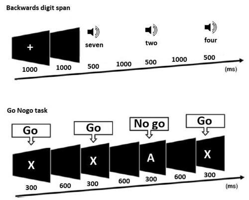 Figure 1. EEG task design. This figure shows the task design for the two electroencephalography tasks implemented in the study. Top: the backwards digit span task, where participants were required to listen to a list of digits, remember those digits, and enter the digits in reverse order using the keyboard after the list was complete. List size began at 2 digits, and increased by 1 digit every two trials until the participant made two consecutive errors. Bottom: the Go Nogo task, which presented ‘Go’ stimuli (that required a participant’s button press response) and ‘No go’ stimuli (that required participants to withhold their response). Go and No go stimuli were presented with equal frequency.