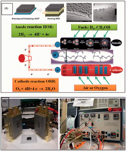 Figure 1. (Colour online) The schematic representation of (A) MEA and (B) electrochemical test of PEMFC device. (The SEM image is dedicated to Dr Junbing Yang.)