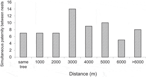 Figure 2. Number of instances when individual offspring in synchronous nests had shared paternity (179 broods), with distance between the nests. Data are grouped in 1000m bins and are from Heinsohn et al. (Citation2007).