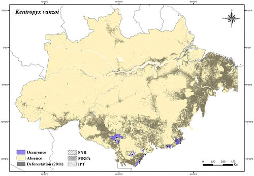 Figure 109. Occurrence area and records of Kentropyx vanzoi in the Brazilian Amazonia, showing the overlap with protected and deforested areas.