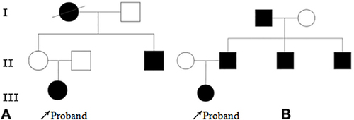 Figure 1 Pedigree diagram of family 1 (A) and family 2 (B). Arrow: Proband; Bias: Dead and undetected; Square: Male; Circle: Female; Blank: No clinical symptoms; Black: diabetes mellitus.