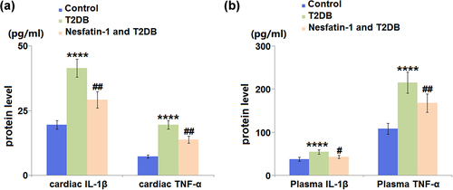 Figure 5. Nesfatin-1 reduces inflammation in type 2 diabetes (T2DB) mice. (a) ELISA results of cardiac interleukin-1 β (IL-1β) and cardiac tumor necrosis factor-α (TNF-α) levels; (b) ELISA results of plasma interleukin-1 β (IL-1β) and plasma tumor necrosis factor-α (TNF-α) (****, P < 0.0001 vs. vehicle group; ## P < 0.01 vs. streptozotocin (STZ) mice).