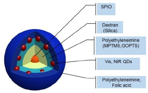 Figure 1 Schematic representation of MOHNPs, which are comprised of SPIO and QDs NPs.