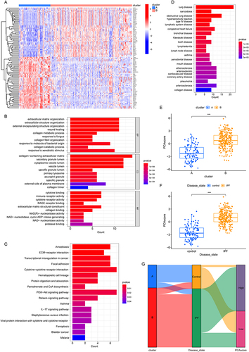 Figure 5 The less neutrophil-infiltrating cluster showed a similar gene signature to IPF. (A) Heatmap of DEGs between two clusters. (B) GO functional enrichment analysis of DEGs between two clusters. (C) KEGG functional enrichment analysis of DEGs between two clusters. (D) DO functional enrichment analysis of DEGs between two clusters. (E) Differential analysis of PCA score between two clusters. (F) Differential analysis of PCA score between IPF and healthy controls lung samples. (G) Sankey diagram of the correlations among neutrophil-related clusters, disease state and PCA score. (***P < 0.001).