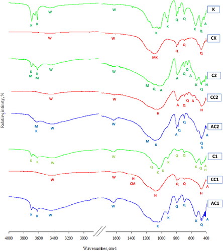 Figure 7. FTIR spectra of clay (C1, C2), calcined clay (CC1, CC2), acid treated clay (AC1, AC2), kaolin (K) and calcined kaolin (CK).