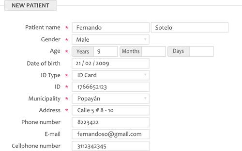 Figure 1 Registration of patient personal data in the EHR system (fictitious data).