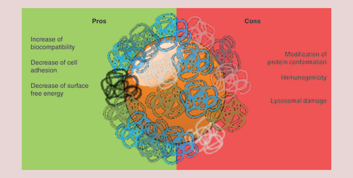 Figure 6. Impact of the protein corona on nanoparticle cytotoxicity.Schematic representation of the pros and cons of the protein corona in terms of cytotoxicity.