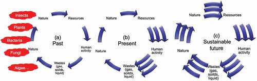 Figure 1. Natural cycles in nature between human and other organisms that were (a) in balance before, but (b) not in balance today, and (c) a scenario of sustainable balance in the future that keep economical and social growth, but being in balance by bioengineering of the natural processes of resource recovery by, e.g., faster bioengineered organisms.