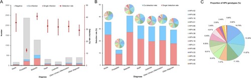 Figure 3. HPV infection in different diagnostic groups. (A) The number of HPV tests and the detection rate of HPV in each diagnostic group. (B) The proportion of HPV genotypes in total and different diagnosis groups. (C) The proportion of each HPV subtype in all positive cases.