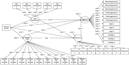 Figure 2 Shows a structural diagram of the mediating model for the relationship between physical exercise and aggressive behavior.