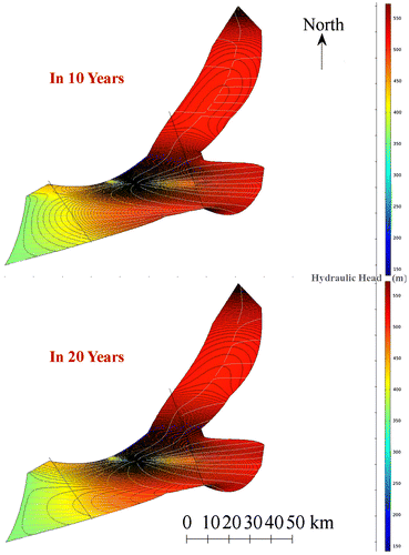 Figure 3. Hydraulic head surface maps in 10 and 20 years.
