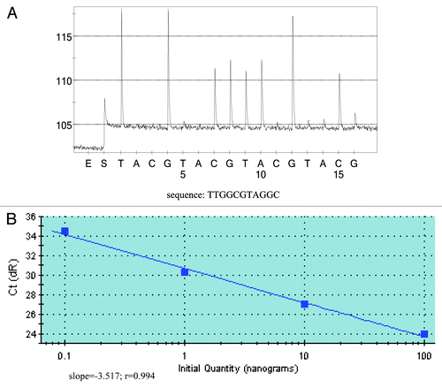 Figure 1. PNA doesn’t affect the amplification of KRAS mutant DNA. PCR with and without PNA have almost the same amplification curves when the template is KRAS mutant DNA (The PCR amplification curve with and without PNA are almost totally overlapping each other). The amount of SW480 DNA added is 5, 0.5 and 0.1 ng, respectively (corresponding to the amplification curve from left to right in the figure).