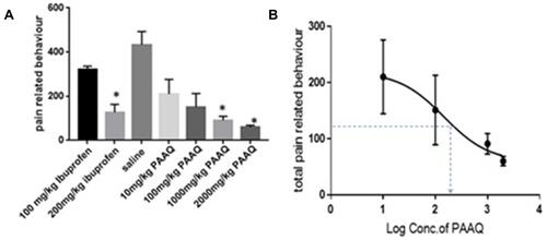 Figure 2 (A). Effect of different doses of the aqueous extract of P. aurita (PAAQ), administered ip, on formalin-induced pain-related behaviour in mice. Data represented as mean ± S.E.M. with each column representing the sum of pain-related behaviour. * indicates p < 0.05 compared to the saline-injected group. (B). Dose-response curve of PAAQ administered ip. The curve was constructed using the total pain-related behaviour of the formalin test against logarithmic transformed PAAQ ip doses of 10,100 1000 and 2000 mg/kg bwt. A sigmoid fit was applied and the equivalent ip dose of extract to the administered doses of ibuprofen was interpolated.