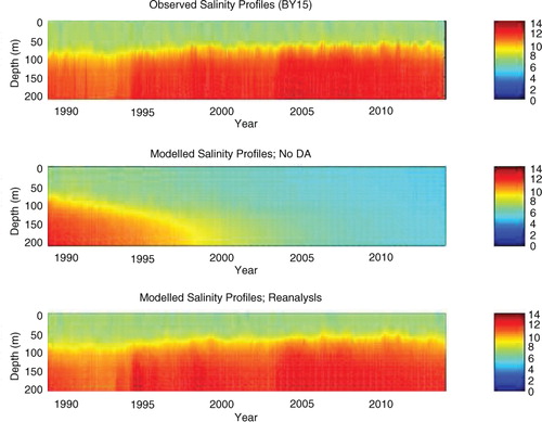 Fig. 12 Salinity profiles at station BY15, according to (a) observations, (b) a free run (without data assimilation) and (c) the reanalysis (with data assimilation). The data are sampled once a month.
