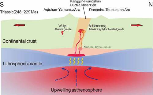 Figure 12. Schematic diagram showing the generation of the Baishandong pluton in the Eastern Tianshan. Thickness of continental crust and lithospheric mantle are not to scale.