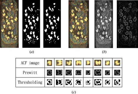 Figure 6 (a) Image pretreatment series (1). (b) Image pretreatment series (2). (c) Pretreatment of conducting particle image (color figure available online).