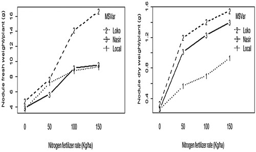 Figure 3. The effect of NPSB blended fertilizer on nodules fresh weight/plant (left) and nodules dry weight/plant (g) (right) of inoculated common bean varieties.