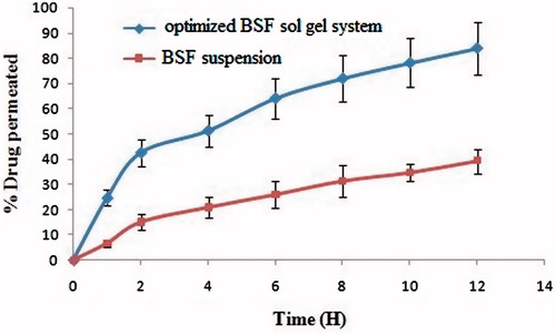 Figure 2. Ex vivo permeation profile of optimized BSF sol–gel system and BSF suspension across goat cornea.