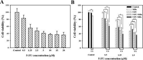 Figure 5. Effects of (A) 5-FU and (B) 5-FU only, 5-FU + MB, and 5-FU-MB treatments with or without US sonication on the viability of FaDu cells. The cells were treated with 5-FU at 0.5–20 µM and US + 5-FU at 0.5–2.5 µM for 48 hours, and then examined using the alamarBlue™ assay. Data are percentages relative to controls presented as mean and SEM values (n = 5). *p < 0.05, **p < 0.01, ***p < 0.001.
