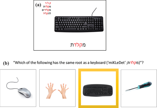 Figure 2. Examples of the treatment steps. Step 1 (a). The target word /miKLeDet/ (a keyboard) is presented below its representative picture. In the upper left corner, the written forms of the root, target word, related verb, and gerund are displayed. The root graphemes are highlighted in red in all words for easy identification. The SLP explained the morpho-phonological relations between words sharing the same root. Step 2 (b). Participants are presented with four pictures and are required to choose the one that shares a root with an auditory presented gerund. Once the target word is identified with a mouse press, it is highlighted, and auditory feedback is given to indicate correct or incorrect selections.