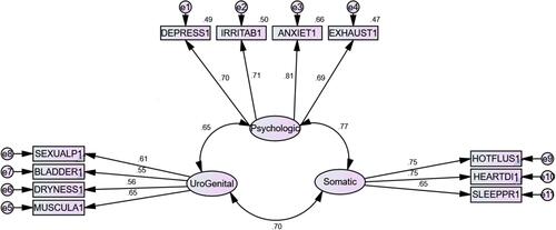 Figure 1 CFA-based relations between the items and the factors and between the factors. All the relations between the factors and the items and between the factors were statistically significant (all p<0.05).