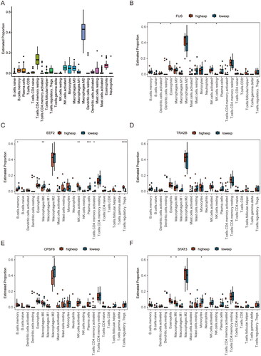 Figure 7. Immune infiltration analysis of key necroptosis genes based on the dataset GSE12021. (A) Implementation of the CIBERSORT algorithm toexplore immune microenvironment in RA patients. (B-F) Graph of top5 hub genes and immune cell correlation analysis. RA: rheumatoid arthritis.