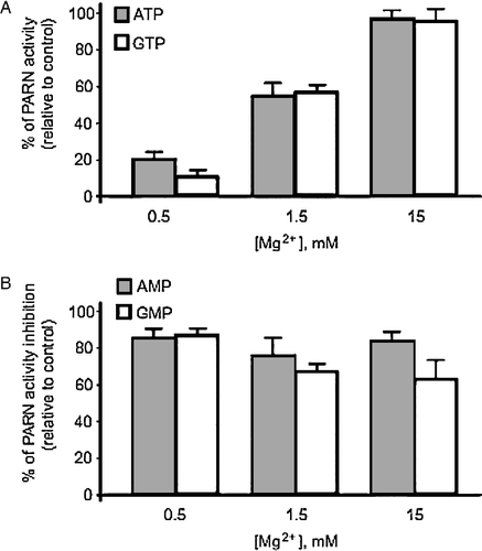 Figure 5.  Effect of Mg2 + in the inhibition of PARN by purine nucleotides. A. Relative activity inhibition by 1.5 mM ATP (grey bars) or 1.5 mM GTP (white bars) in the presence of 0, 1.5 and 15 mM Mg2 + . B. Release of PARN activity inhibition by 1.5 mM AMP (grey bars) or 1.5 mM GMP (white bars) in the presence of 0, 1.5 and 15 mM Mg2 + . The results are mean values from at least three independent experiments.