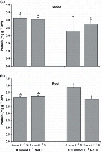 Figure 4 Soluble protein contents of the (a) shoots and (b) roots of canola plants grown for 25 days under salinity with or without supplementary silicon. Error bars represent the standard error. DW, dry weight. Different small letters on histograms represent statistically significant differences at P < 0.05.