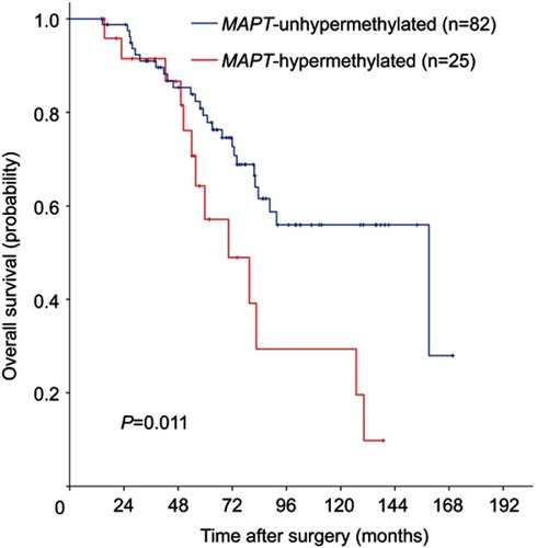 Figure 1 Kaplan–Meier survival estimates of overall survival between groups classified by MAPT methylation status in patients with stage II colorectal cancer. P-values were based on the log-rank test.
